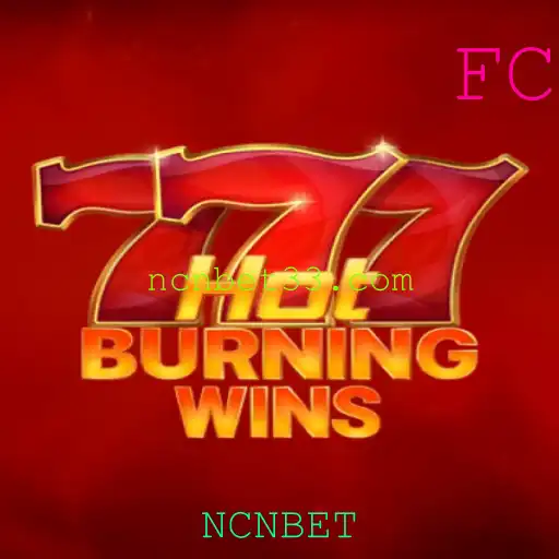 Explorando o Mundo de HotBurningWins: Um Guia Completo